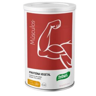DYNAMIC proteina vegetal baunilha 455gr.