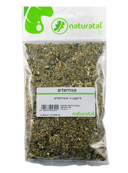 ARTEMISA (Artemisia vulgaris) 50GR