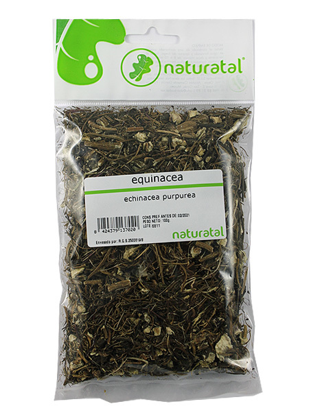 EQUINACEA (Echinacea pupurea) 100GR