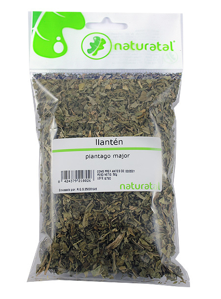 LLANTEN (Plantago major) 50GR