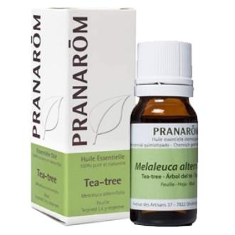 ARBOL DEL TE folha óleo essencial BIO 30ml.