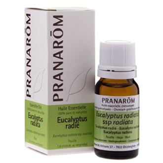 EUCALIPTO RADIATA folha óleo essencial BIO 10ml.