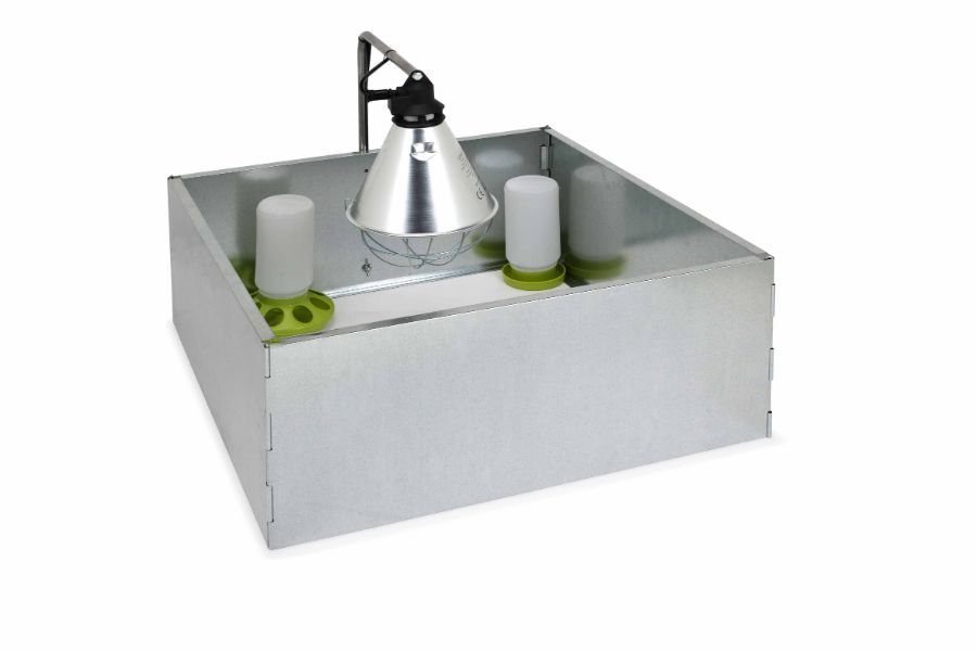 Parque para pollitos galvanizado