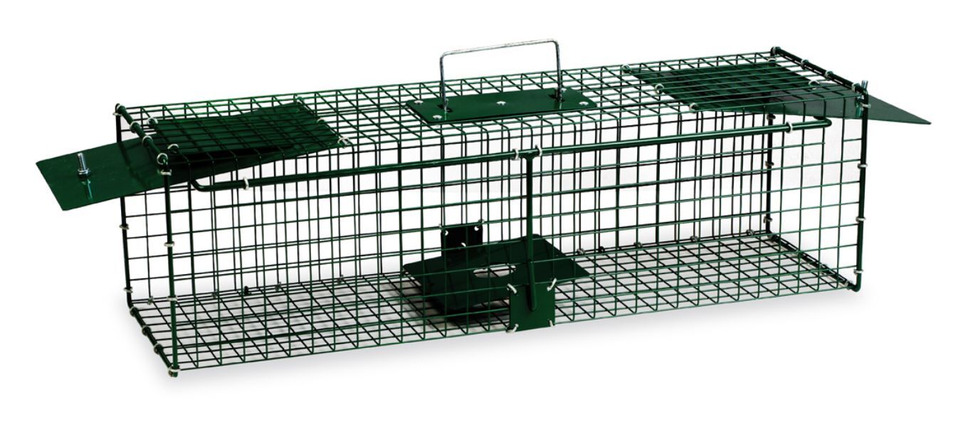 Jaula trampa pintada 2 puertas - p