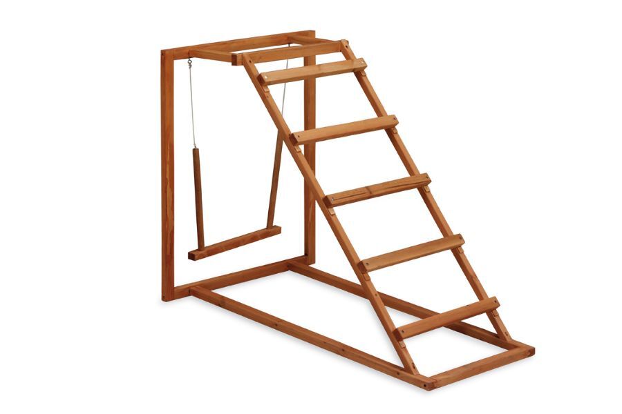 Paruqe juego gallinas