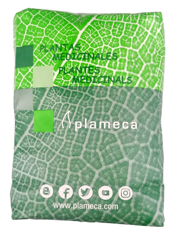 GINKGO BILOBA TRIT. 1 Kg