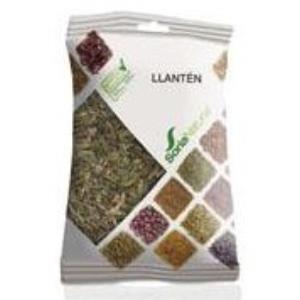 PLANTA bolsa 40gr.