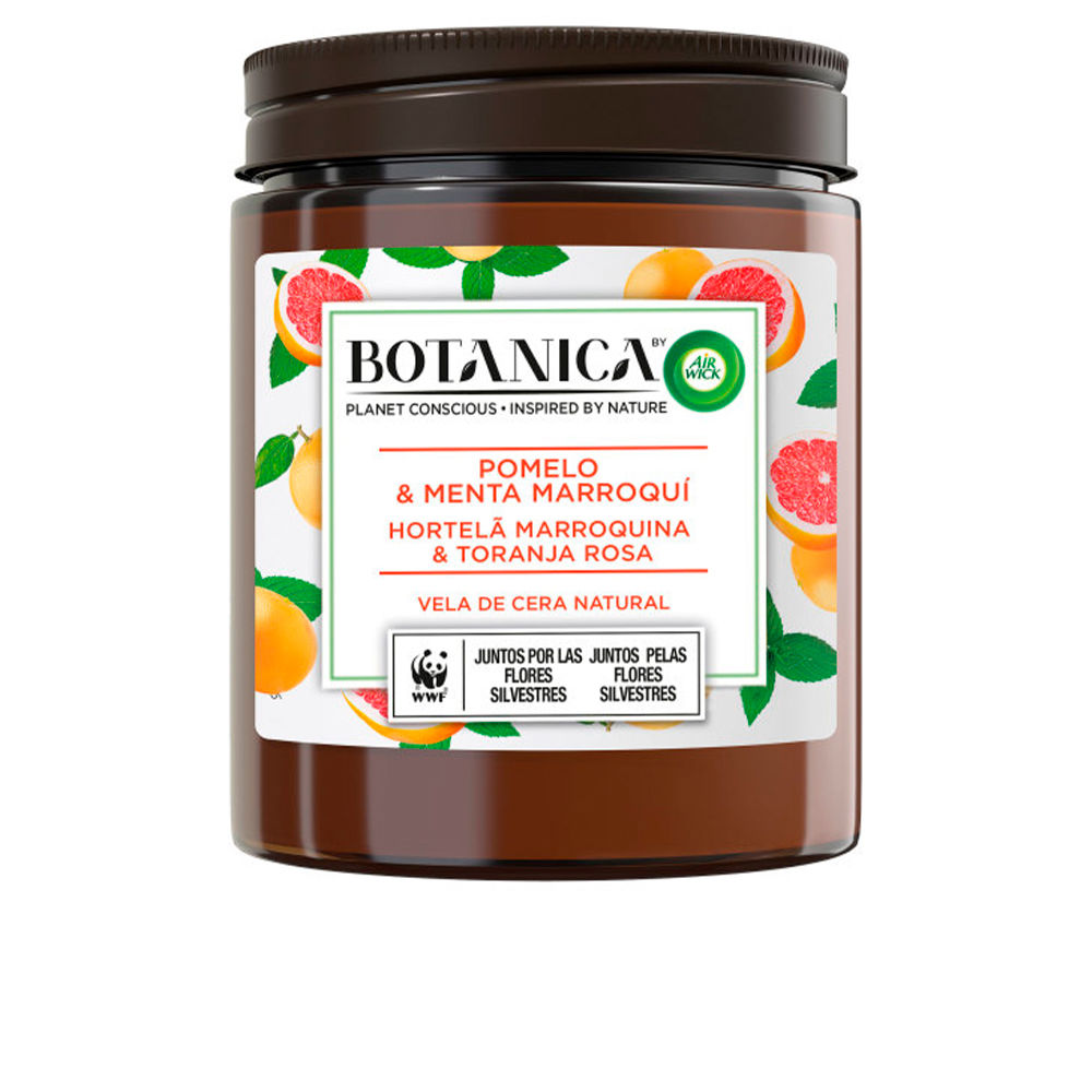 BOTANICA CANDLE toranja e menta 205 gr