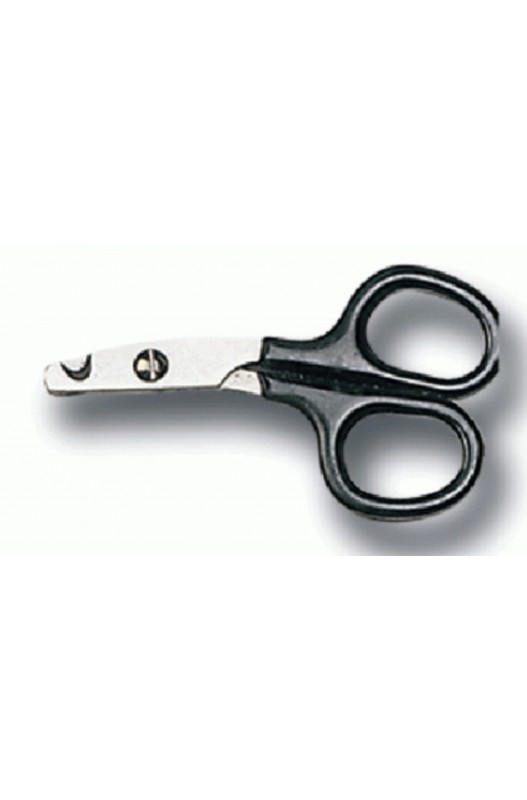 FUR.CEPILLO + PEINE GATITOS